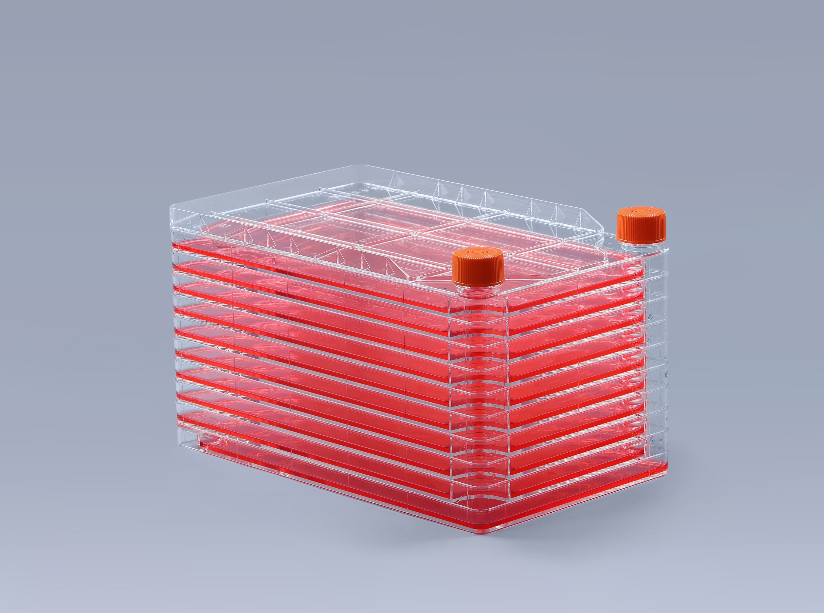 用細(xì)胞工廠培養(yǎng)的疫苗種類有哪些_富道細(xì)胞 用細(xì)胞工廠培養(yǎng)的疫苗種類有哪些_富道細(xì)胞