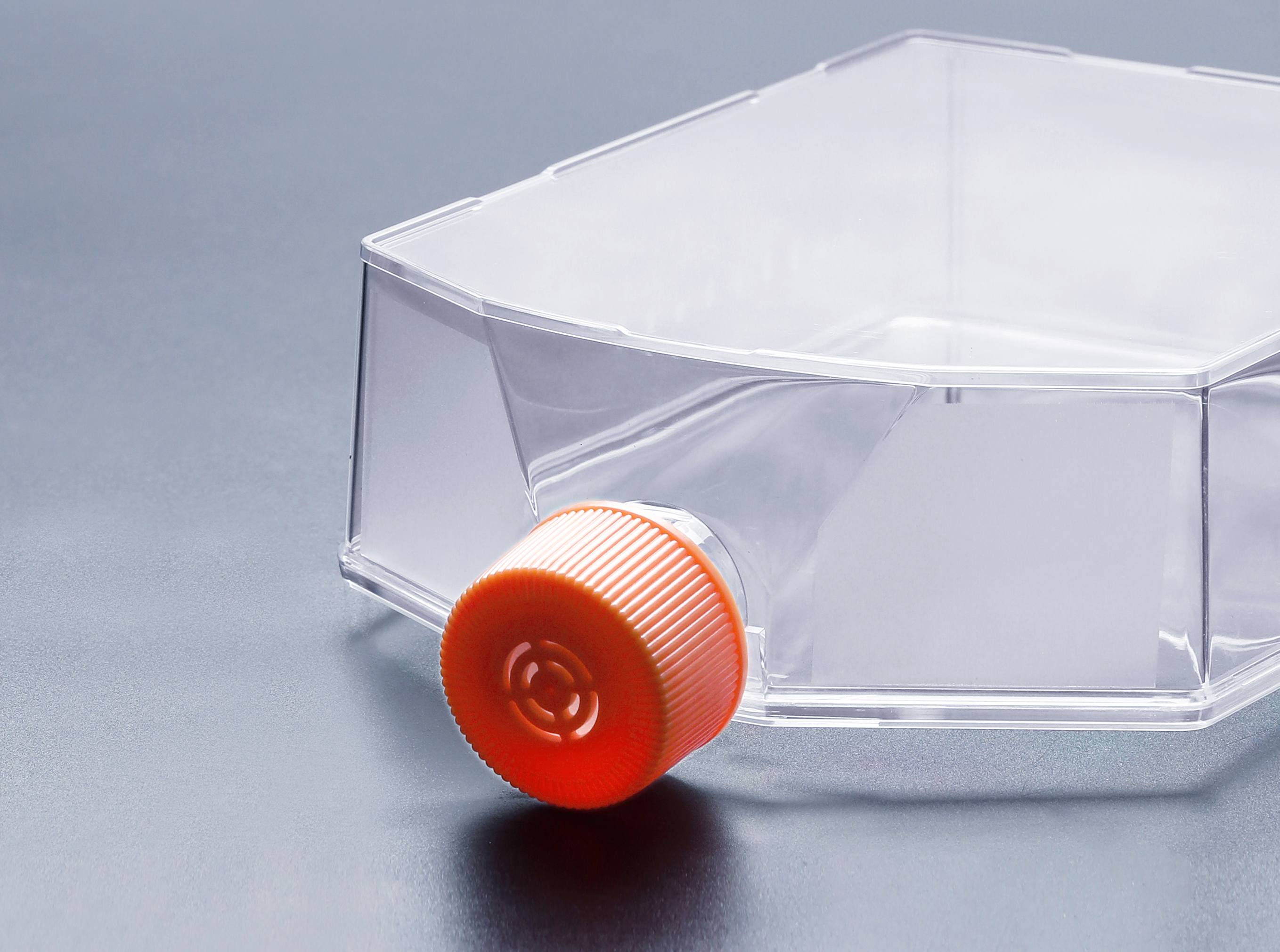 細(xì)胞培養(yǎng)瓶對(duì)干細(xì)胞在新藥研發(fā)方面的應(yīng)用_富道細(xì)胞