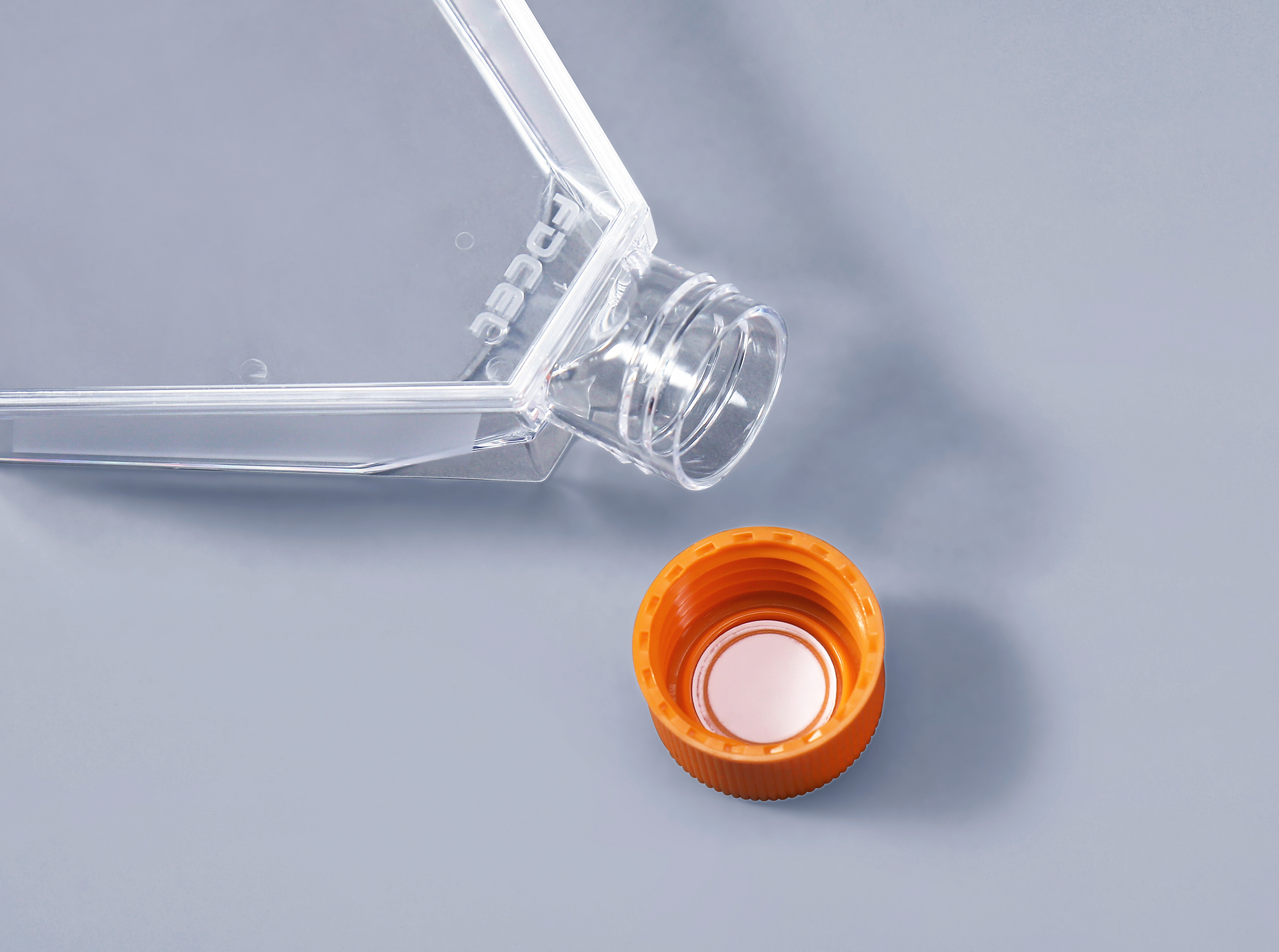 細(xì)胞培養(yǎng)瓶中出現(xiàn)支原體污染的表現(xiàn)_富道細(xì)胞