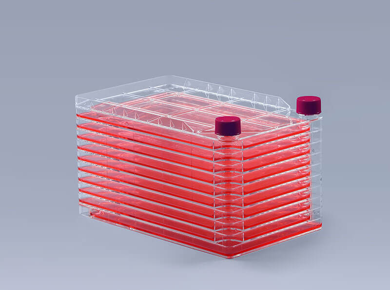 細(xì)胞工廠培養(yǎng)細(xì)胞檢測(cè)支原體污染_富道細(xì)胞 細(xì)胞工廠培養(yǎng)細(xì)胞檢測(cè)支原體污染_富道細(xì)胞