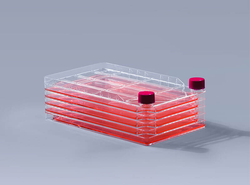 細胞工廠培養過程中遇到的兩種污染_富道細胞 細胞工廠培養過程中遇到的兩種污染_富道細胞