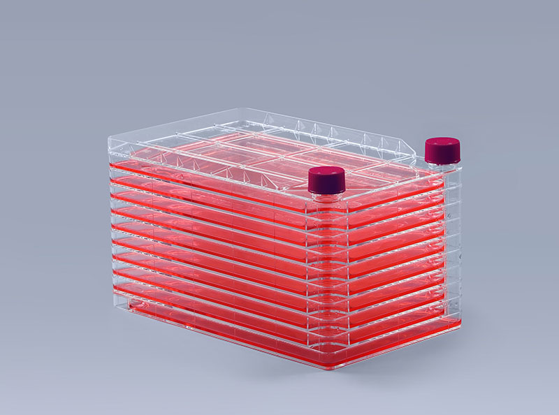 八點預防和控制細胞工廠發(fā)生支原體污染_富道細胞 八點預防和控制細胞工廠發(fā)生支原體污染_富道細胞