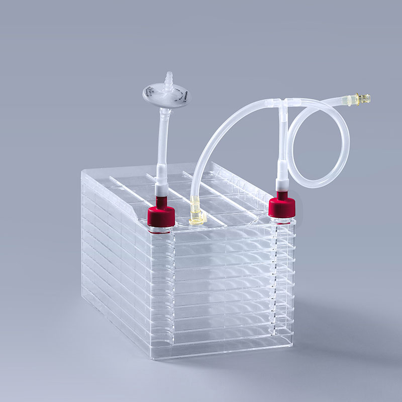 檢測細胞工廠的幾個質(zhì)量標(biāo)準(zhǔn)